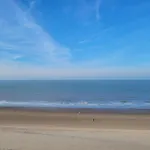 Steps From The Quiet Seaside Path *