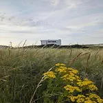 Steps From The Quiet Seaside Path *