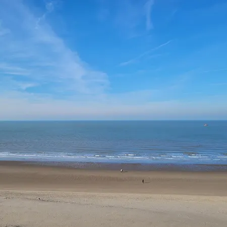 Steps From The Quiet Seaside Path *