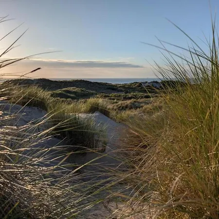 Steps From The Quiet Seaside Path ミデルケルケ